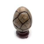Œuf Septaria Sauvage Complet 3360 g
