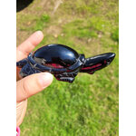 Tortue Obsidienne Œil Céleste