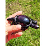 Tortue en Obsidienne Œil Céleste