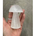 Champignon en Sélénite