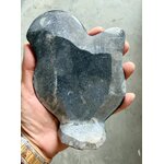 Plaque Fossiles