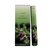 Encens Patchouli Aromatika