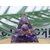 Pyramide Orgonite en Améthyste