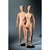mannequin mousse balistique