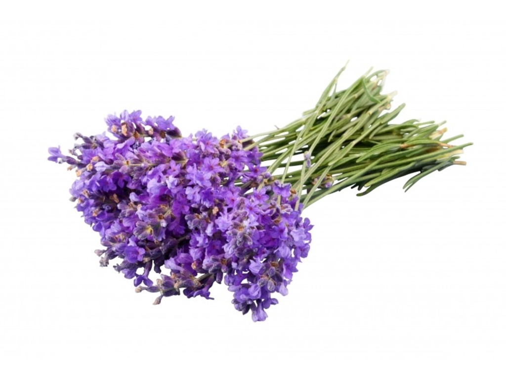 huile-essentielle-de-lavande-fine-bio (3)