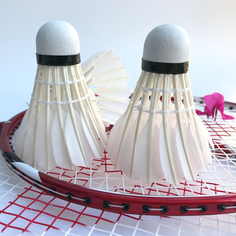 WALFRONT 6pcs balles de badminton blanches volants accessoire d'entranement  de balle de sports de plein air, plume de volant de badminton, volants 