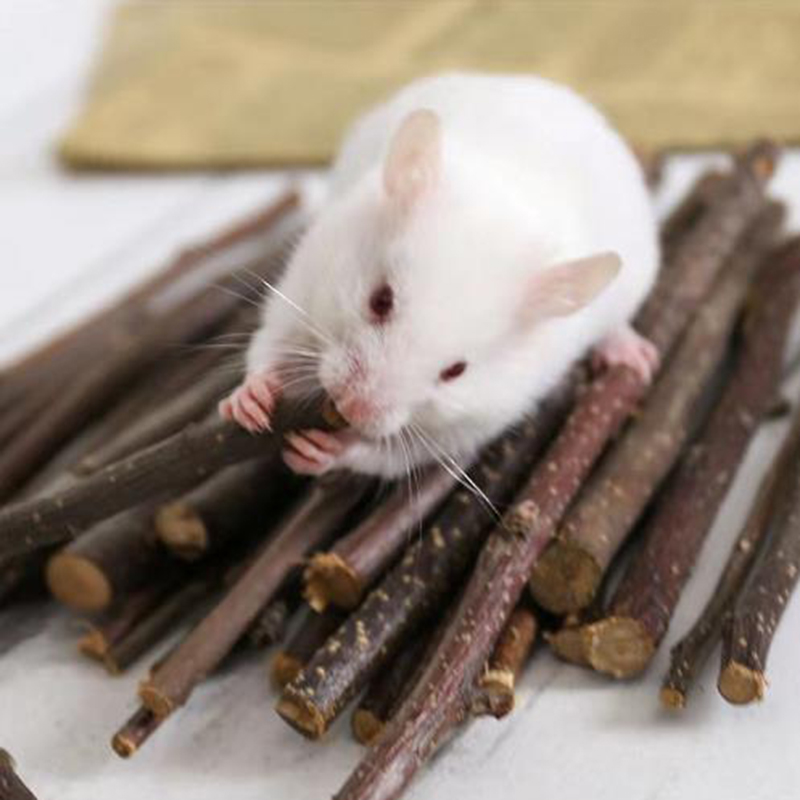 Jouets-professionnels-de-meulage-de-dents-de-lapin-anciers-de-pommier-minorganisateur-pierre-molaire-pour-chinchilla