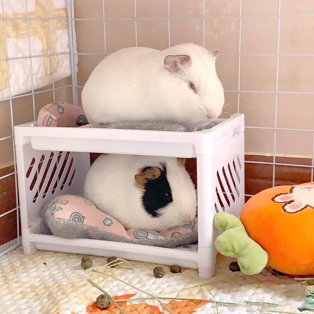 Lit-superpos-facile-installer-pour-animal-de-compagnie-coin-cachette-pour-perroquet-Kasgehog-overd-inde-hamster
