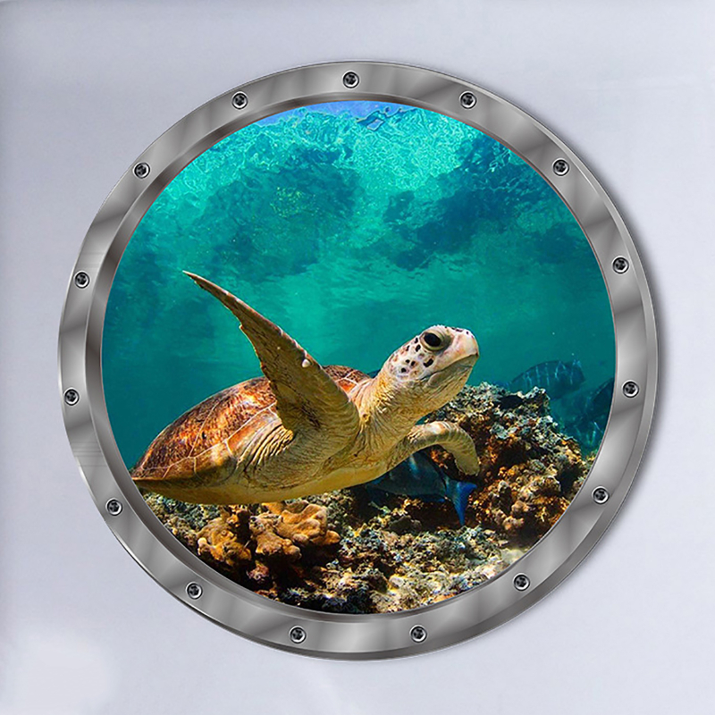 variant-image-couleur-sea-turtle-2