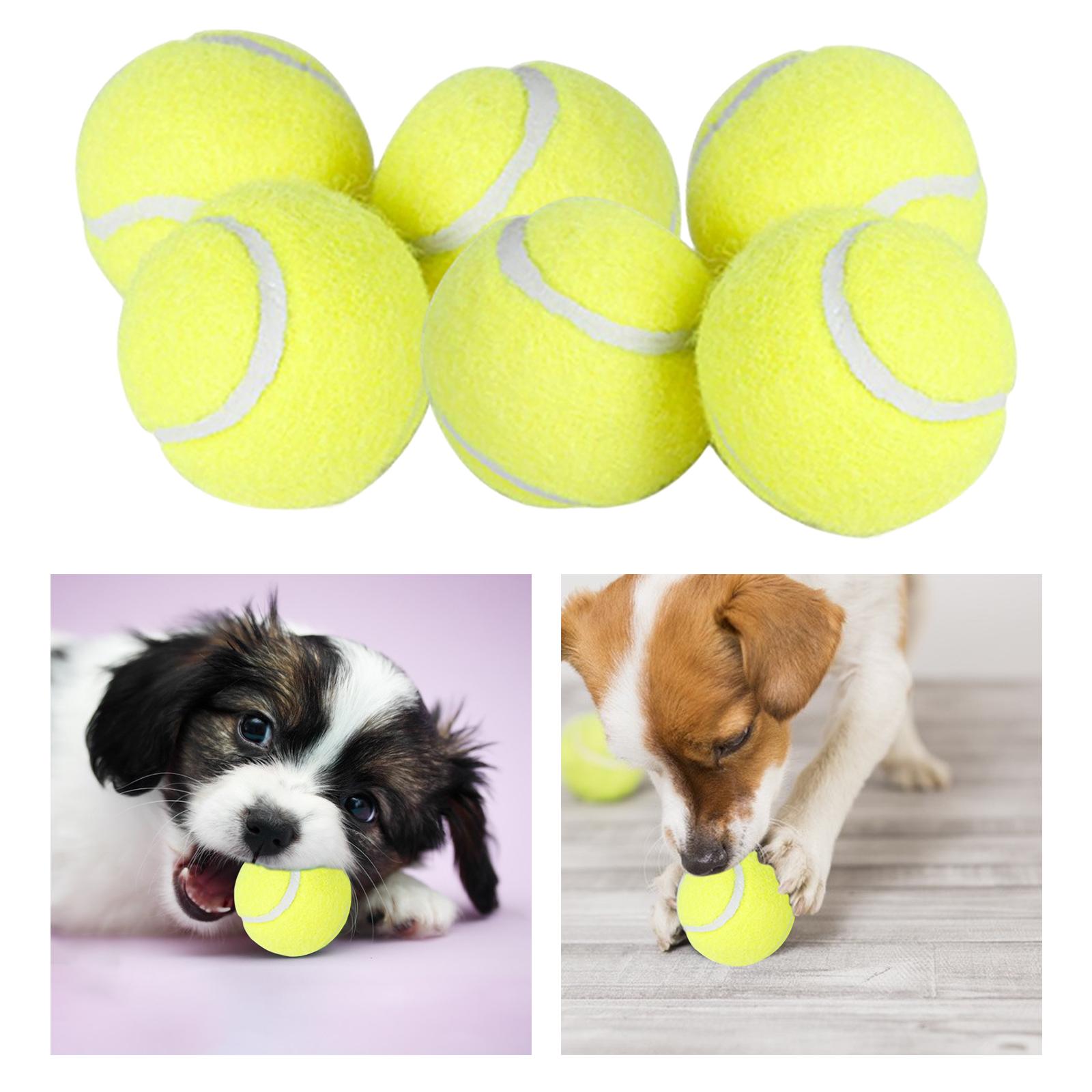 IkHigh-Bounce-Practice-Training-for-Dogs-Outdoor-Elasticity-Durable-Tennis-for-Bite-Chase-and-Chomp-5cm.jpg_