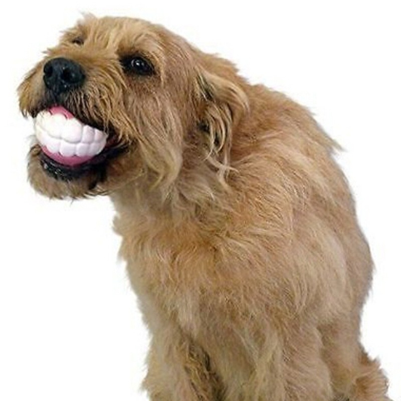 Balle fausses dents en silicone pour chien