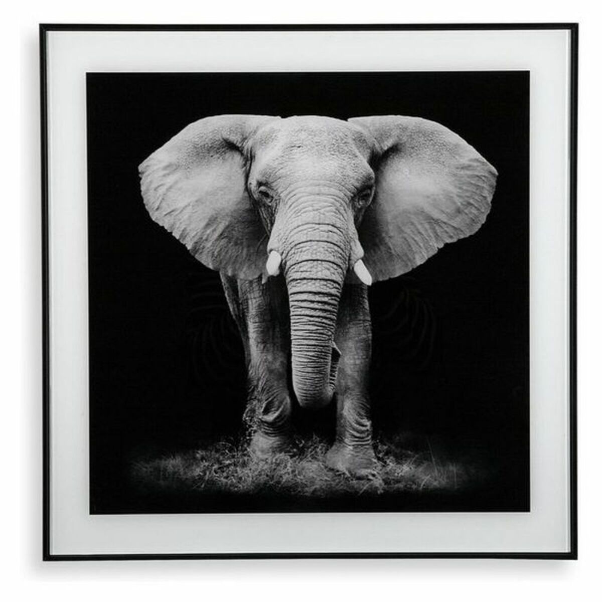 Cadre éléphant noir et blanc