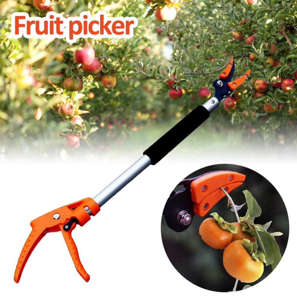 PUNICE-S-cateur-de-Roi-ation-de-maintien-t-lescopique-extra-long-coupe-arbre-outils-de