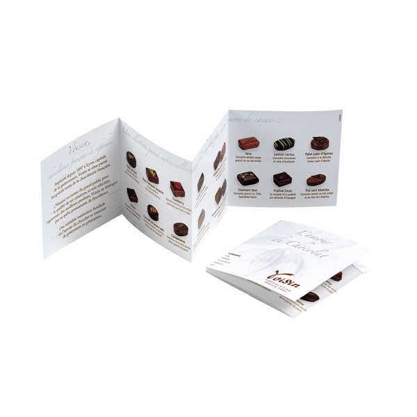ballotion-de-chocolats-voisin(2)