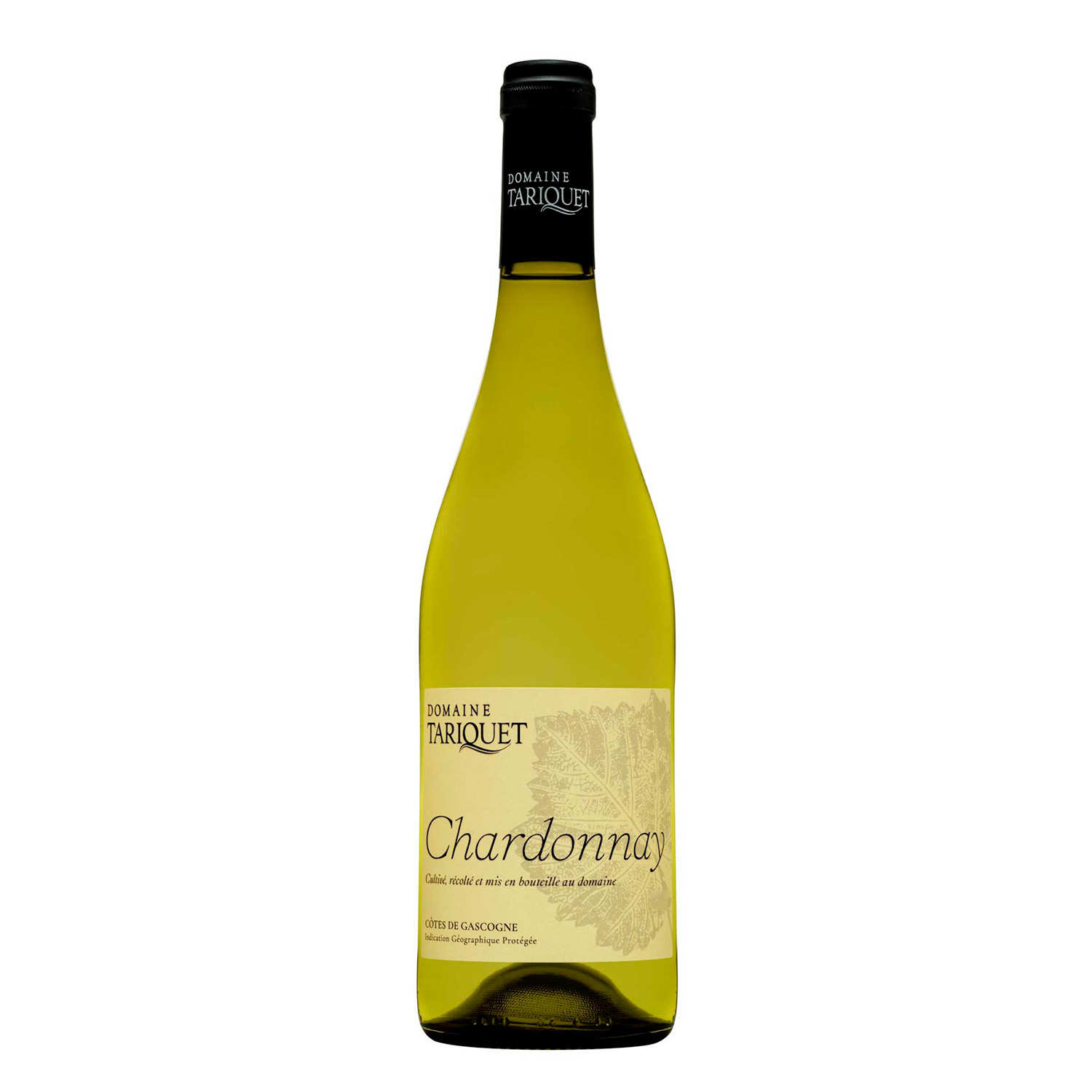 Vin blanc Chardonnay