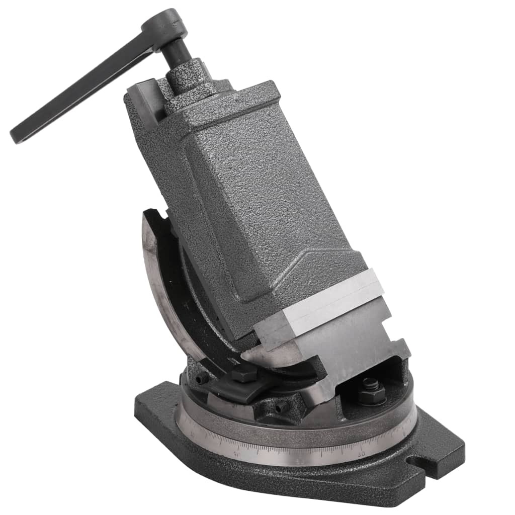 Etau 2 axes 100 mm