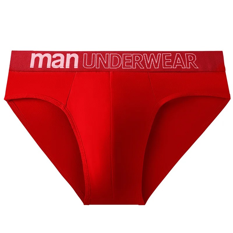 Slip grande taille pour hommes