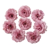 Soie-Rose-Fleurs-Artificielles-5cm-T-te-De-Fleurs-Fausses-Pour-La-D-coration-De-La