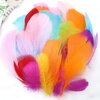 Plumes-color-es-pi-ces-ensemble-naturelles-jouets-artisanaux-cr-atifs-plumes-d-animaux-naturelles-manuel