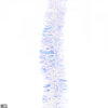 variant_images__b01_length_2m