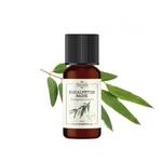 huile-essentielle-de-eucalyptus-bio (1)