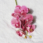 Orchid-e-papillon-artificielle-branches-de-fausses-fleurs-en-plastique-au-toucher-naturel-pour-la-d