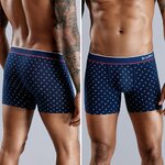 Lot-de-Boxers-et-Cale-ons-en-Coton-pour-Homme-Culottes-de-Luxe-Shorts-Sexy-Slip