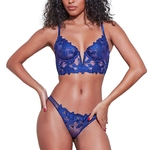 Ensembles-de-Lingerie-fran-aise-pour-femmes-soutien-gorge-Push-Up-culotte-en-dentelle-transparente-ensemble