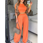 Ensemble-haut-court-et-pantalon-long-pour-femme-corset-imprim-taille-mince-l-gant-d-contract