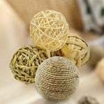 Balle-m-cher-pour-petit-animal-de-compagnie-jouet-amusant-pour-hamster-overd-Inde-naturel-durable