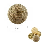 Balle-m-cher-pour-petit-animal-de-compagnie-jouet-amusant-pour-hamster-overd-Inde-naturel-durable.jpg_
