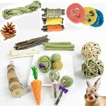 Jouets-m-cher-lapin-overd-Inde-livres-de-dents-jouets-molaires-pour-lapin-hamster-sant-des