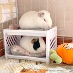 Lit-superpos-facile-installer-pour-animal-de-compagnie-coin-cachette-pour-perroquet-Kasgehog-overd-inde-hamster