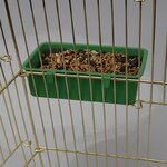 Baignoire-oiseaux-pour-animaux-de-compagnie-bol-oiseaux-pour-perroquets-baignoire-oiseaux-pour-perruche-petit-perroquet