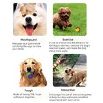 Ikbathing-Balle-m-cher-rebondisnoyaux-en-caoutchouc-durable-pour-chien-jouets-grin-ants-degr-de-morsure