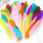 Plumes-color-es-pi-ces-ensemble-naturelles-jouets-artisanaux-cr-atifs-plumes-d-animaux-naturelles-manuel