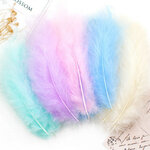 Plumes-color-es-pi-ces-ensemble-naturelles-jouets-artisanaux-cr-atifs-plumes-d-animaux-naturelles-manuel
