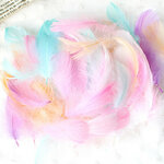 Plumes-color-es-pi-ces-ensemble-naturelles-jouets-artisanaux-cr-atifs-plumes-d-animaux-naturelles-manuel