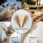 Pampa-Enge-moelleux-Boho-Decor-fausse-plante-roseau-fausses-fleurs-artificielles-f-te-de-mariage-d