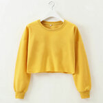 Sweats-capuche-manches-longues-pour-femmes-pull-d-contract-haut-court-pull-PVD-streetwear-la-mode