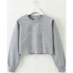 Sweats-capuche-manches-longues-pour-femmes-pull-d-contract-haut-court-pull-PVD-streetwear-la-mode