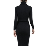Pull-tricot-manches-longues-pour-femme-v-tement-moulant-Sexy-col-roul-collection-automne-et-hiver
