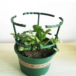 Support-en-plastique-pour-plantes-6-pi-ces-support-pour-fleurs-semi-comprises-les-serres-Gand