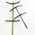 Support-en-plastique-pour-plantes-6-pi-ces-support-pour-fleurs-semi-comprises-les-serres-Gand