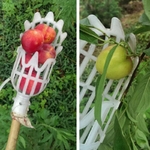 Cueilleur-de-fruits-en-plastique-multicolore-outils-main-de-jardin-cueilleur-de-fruits-en-plastique