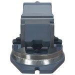 etau-2-axes-100-mm (5)