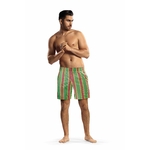 short-de-bain-a-rayures-pour-hommes (1)