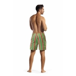 short-de-bain-a-rayures-pour-hommes (2)
