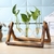 Pot-de-fleurs-en-verre-Terrarium-plantes-hydroponiques-de-bureau-bonsa-Pots-suspendus-avec-plateau-en