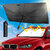 protection-solaire-pour-voiture (1)